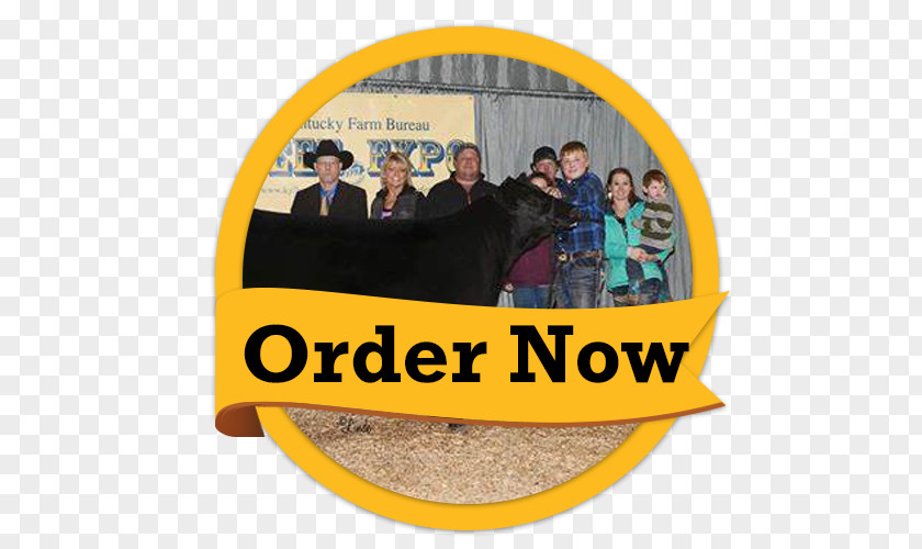 Order Now Golden Flo Car Dealership Customer Service Taylorville, IL PNG