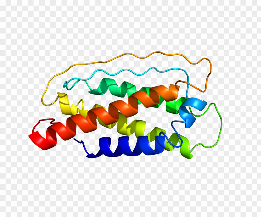 Protein Interleukin 7 Cytokine Interleukin-2 Stroma PNG