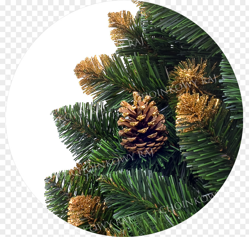 Christmas Fir Spruce Ornament Pine PNG