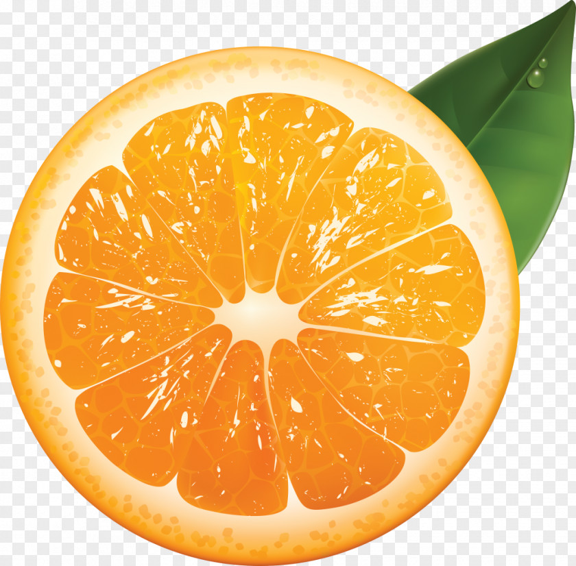Citrus Orange Juice Lime Fruit PNG