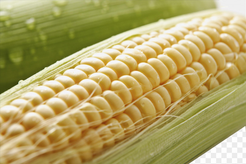 Corn On The Cob Maize PNG