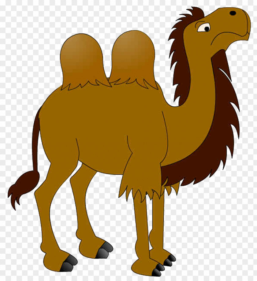 Lovely Camel Dromedary Cartoon PNG