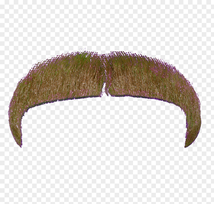 Moustache File Leaf PNG