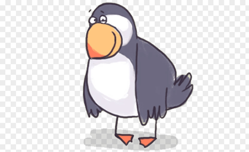 Penguin Clip Art Beak PNG