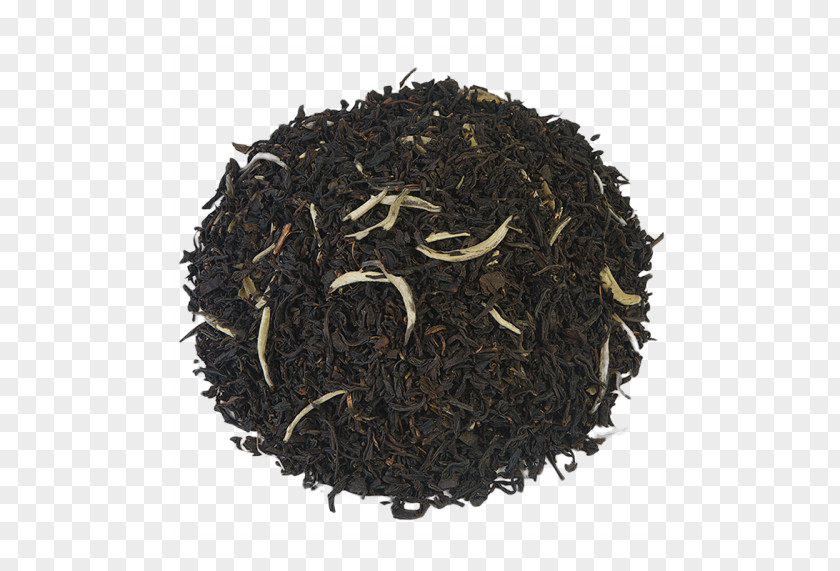 Saint Petersburg Dianhong Nilgiri Tea Oolong Darjeeling White PNG