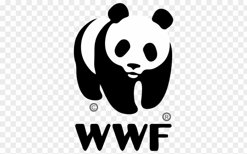 Design World Wide Fund For Nature Logo Giant Panda WWF Adria PNG
