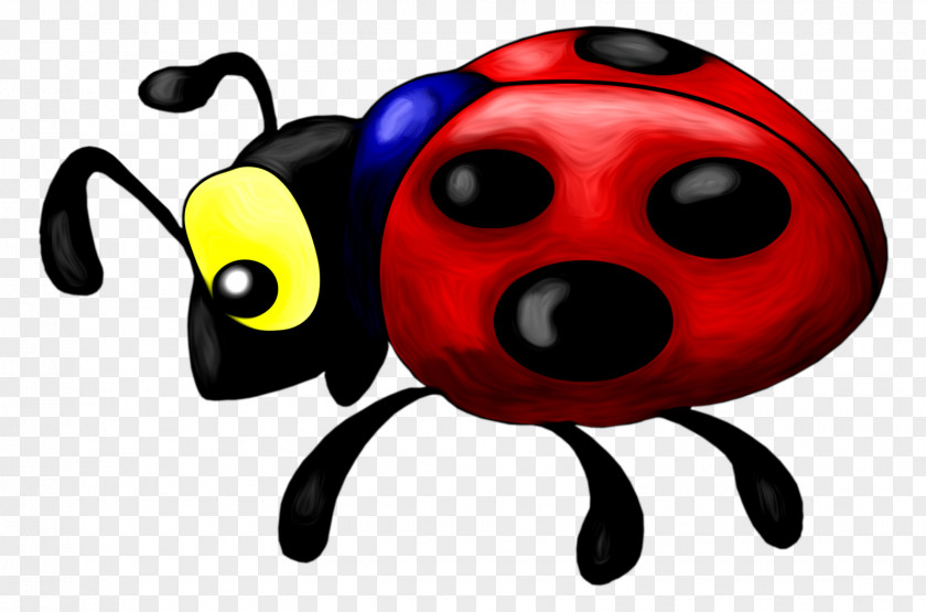 Ladybug Ladybird Beetle Coccinella Septempunctata Child Invertebrate PNG