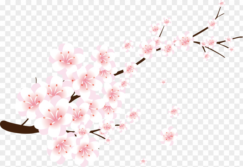 Peach Blossom Download Gratis Clip Art PNG