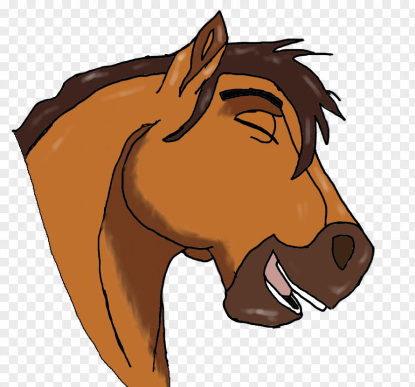 Spirit Riding Free Drawing Mustang Pony Pencil Illustration PNG