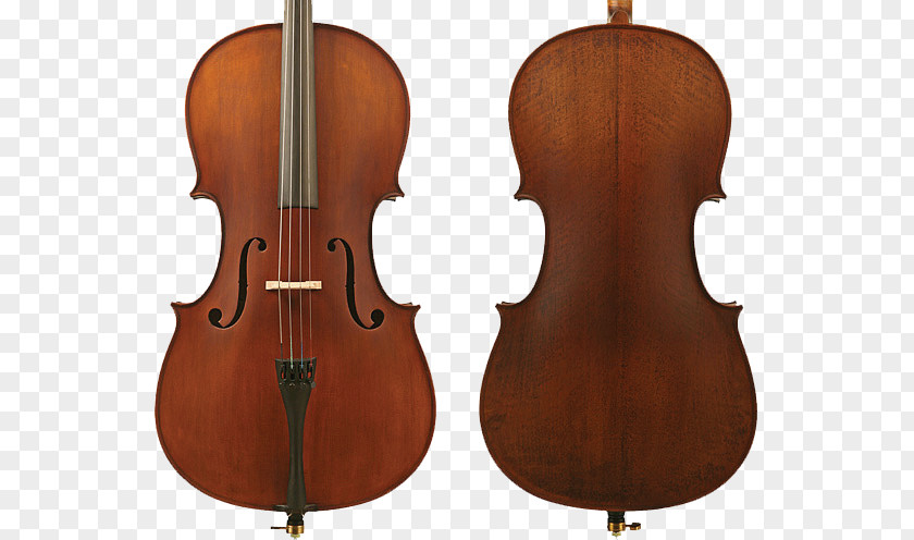 Student Back Cremona Stradivarius Violin Cello String Instruments PNG