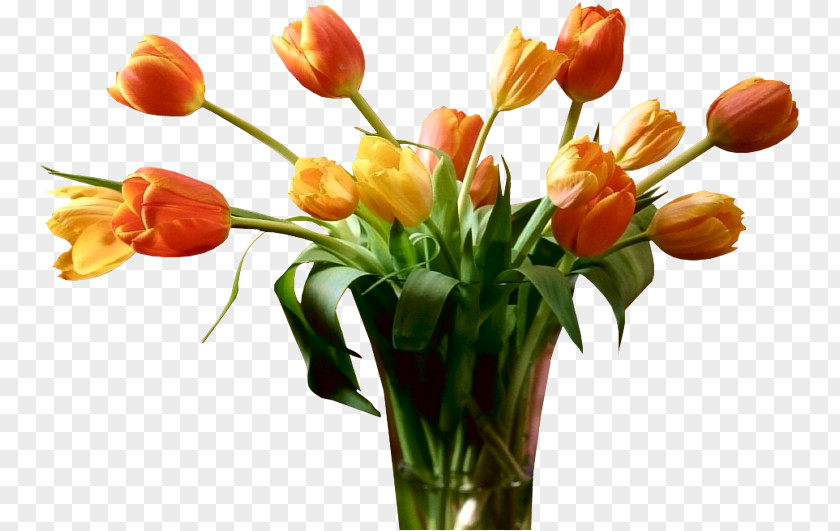 Tulip Flower Bouquet Clip Art PNG