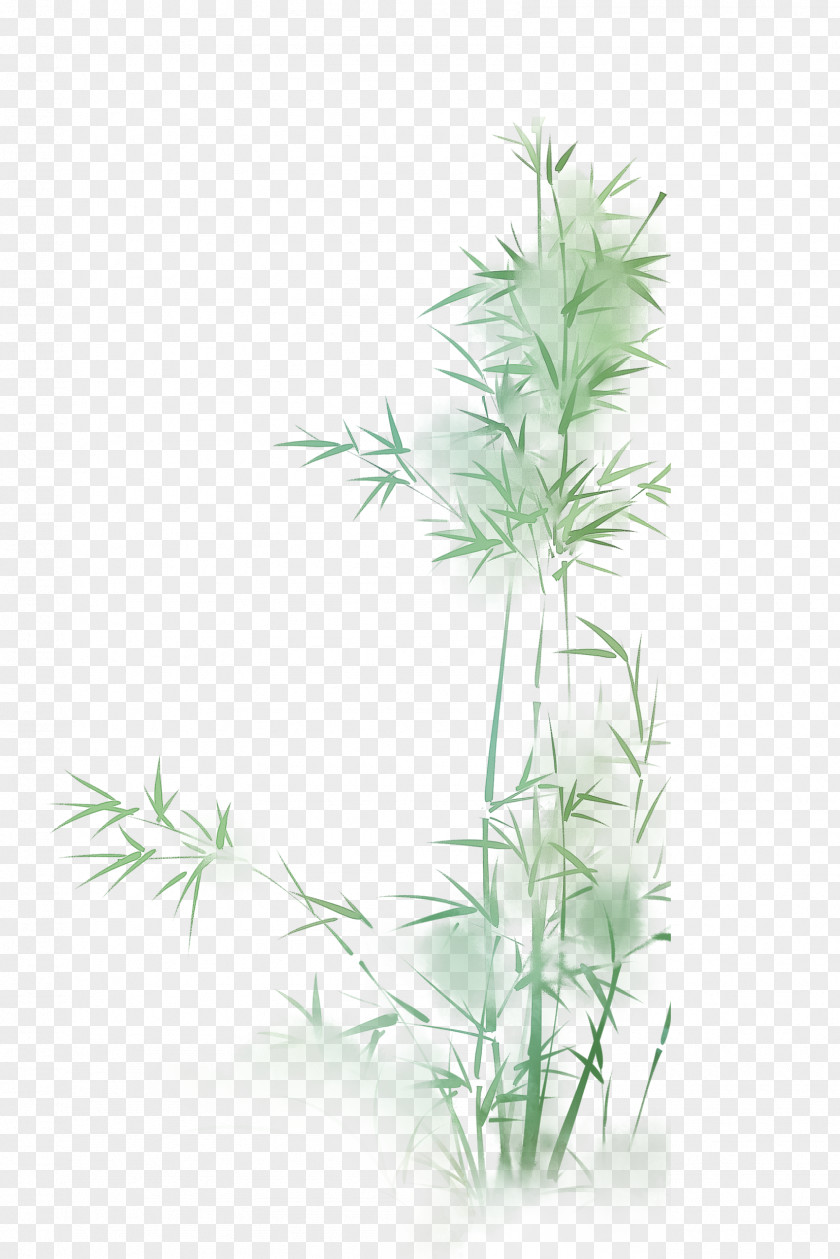 Green Bamboo PNG