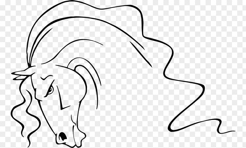 Horse Line Art Drawing Clip PNG