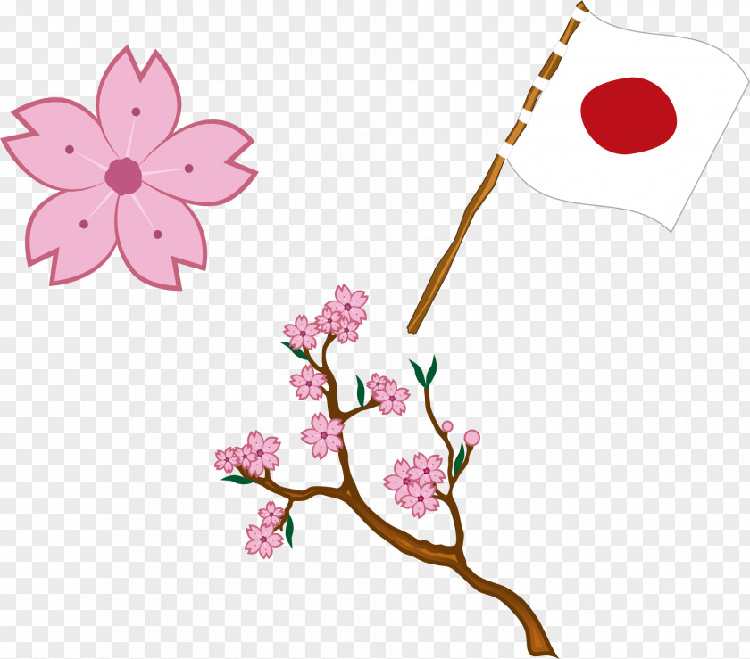 Japanese Flag Cherry Blossoms Of Japan Clip Art PNG