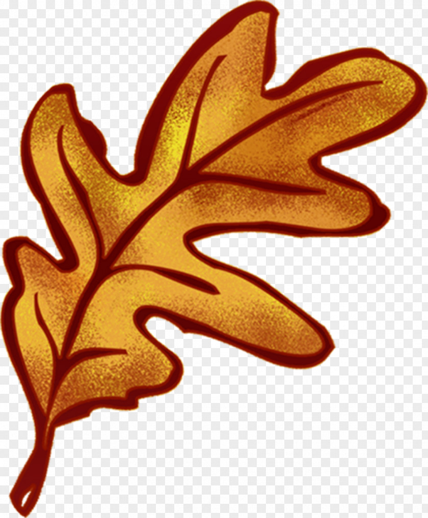 Leaf Tree PNG