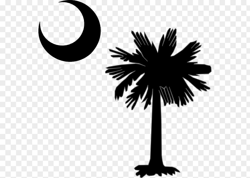 Moon Tree Silhouette Flag Of South Carolina Sabal Palm Trees Decal PNG