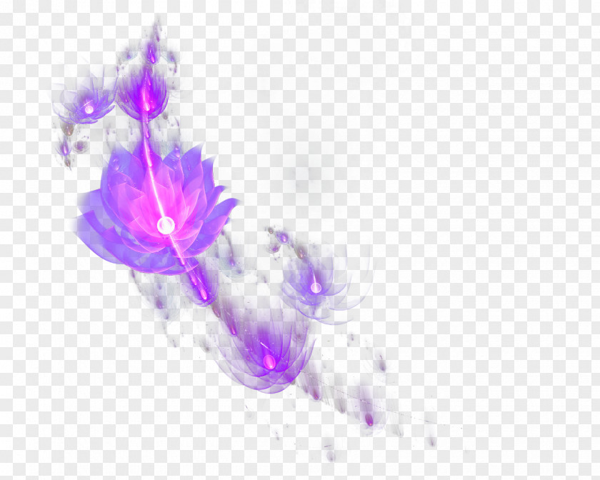 Purple Dream Flower Petal Computer Pattern PNG