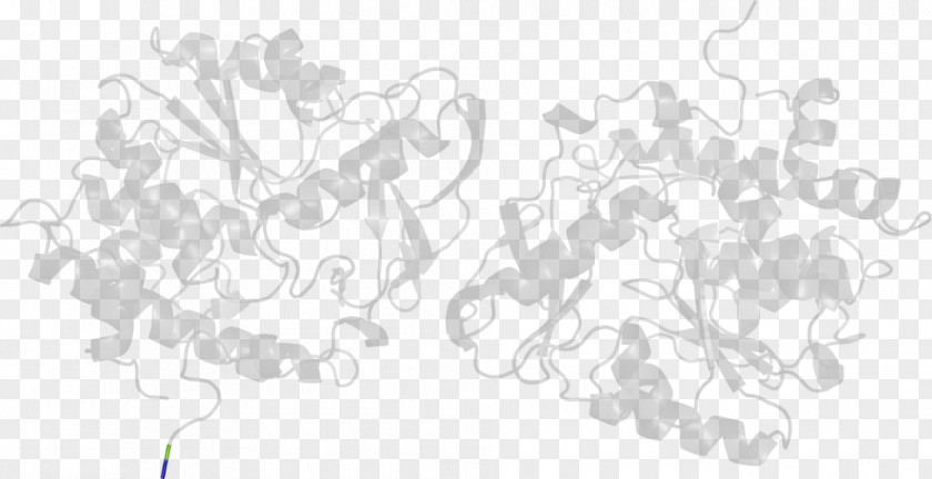 Tree White Line Art Point Angle PNG