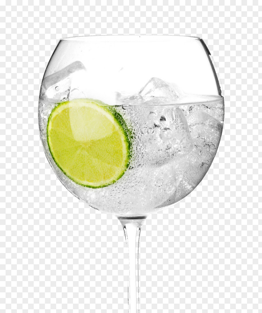 Cocktail Gin And Tonic Martini Vermouth PNG