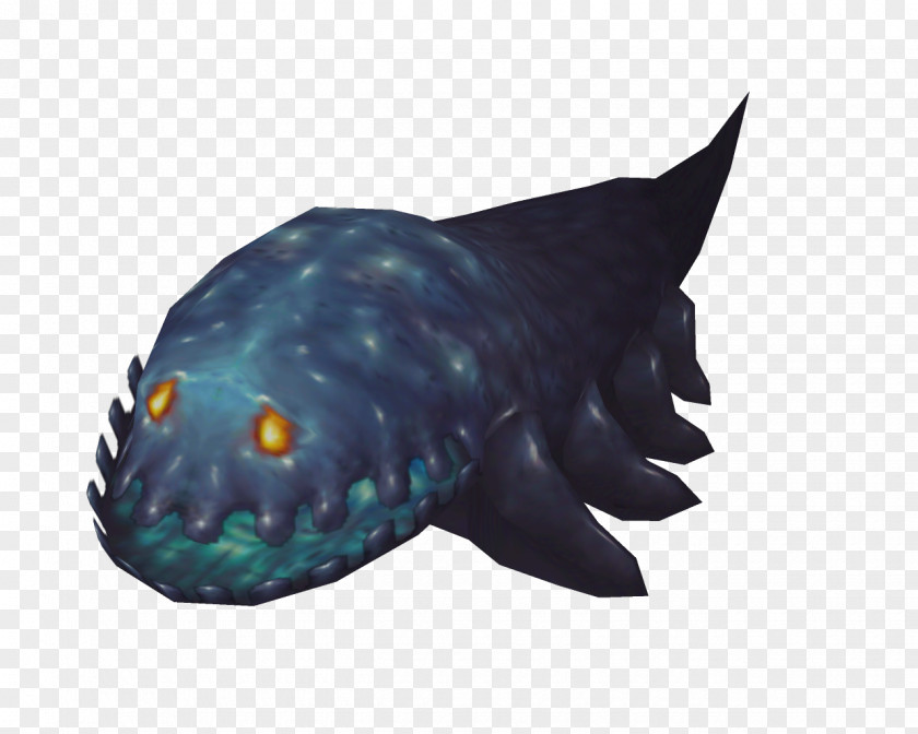 Death's Head Marine Biology Turquoise Fish PNG