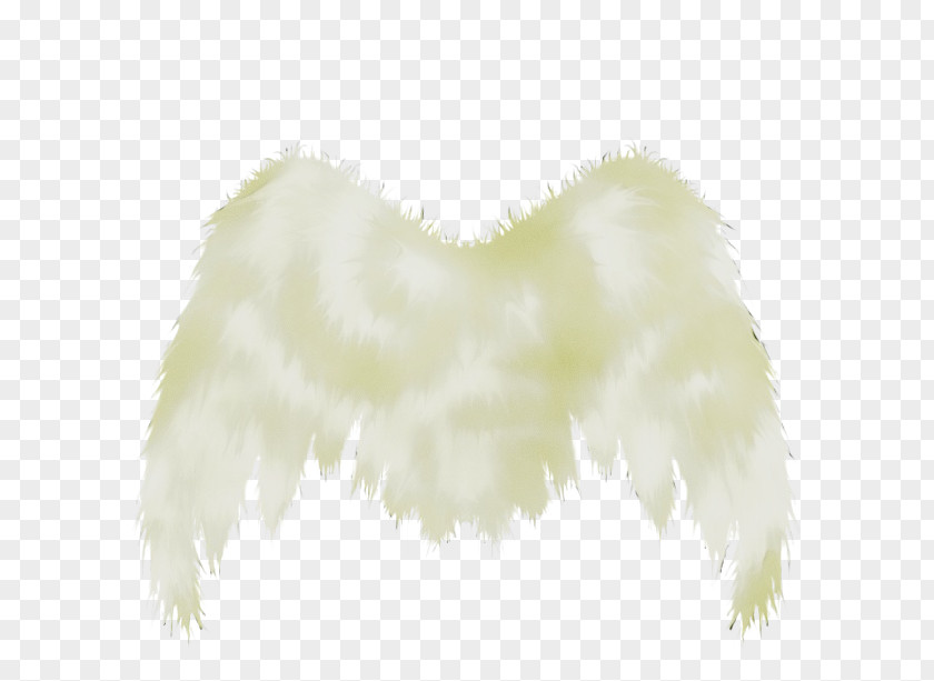 Feather PNG