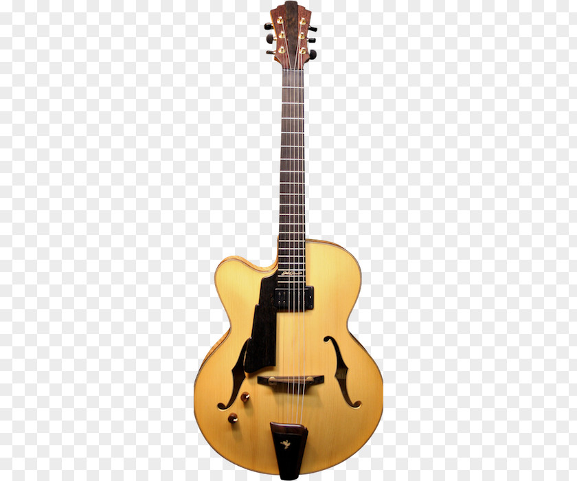 Guitar Godin Ukulele Musical Instruments Concert PNG