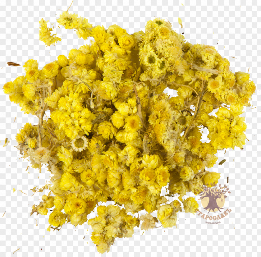 Helichrysum Arenarium Turmeric Yellow Herb Dye PNG
