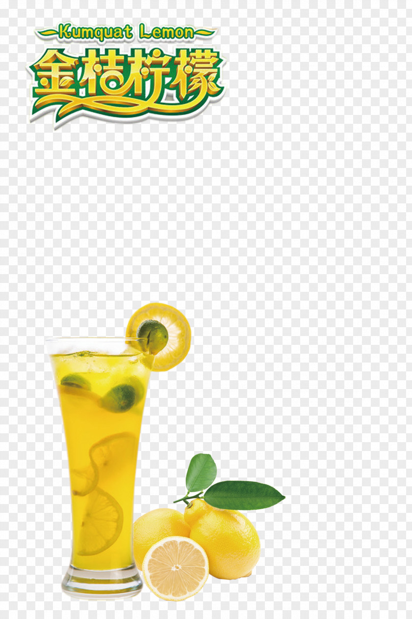 Kumquat Lemon Juice Tea Drink PNG