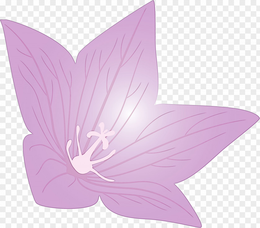 Lavender PNG