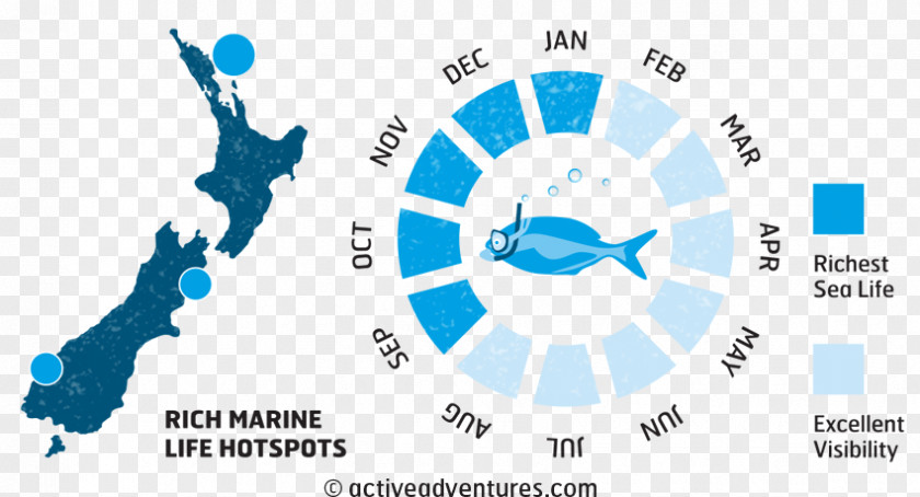 Marine Life New Zealand Map Royalty-free PNG