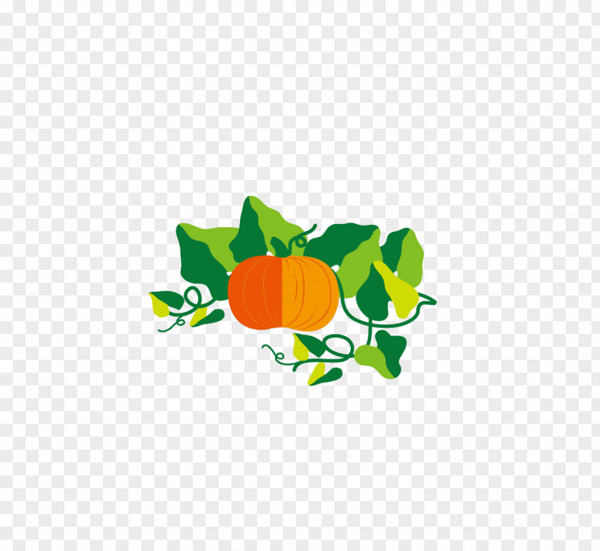 Pumpkin Food Gourd PNG