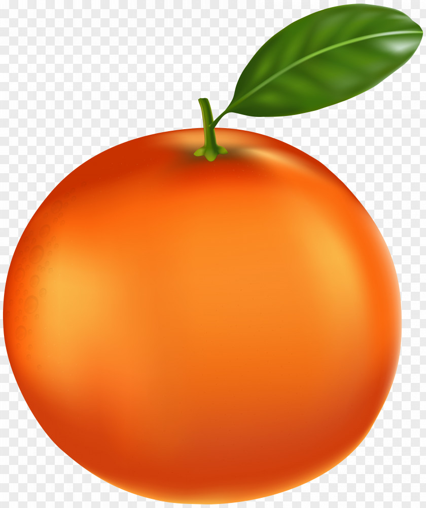 Tangerine Clip Art Orange PNG