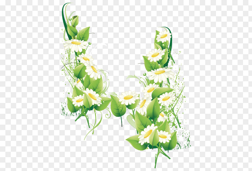 Vector Chrysanthemum Bush Euclidean Cdr PNG