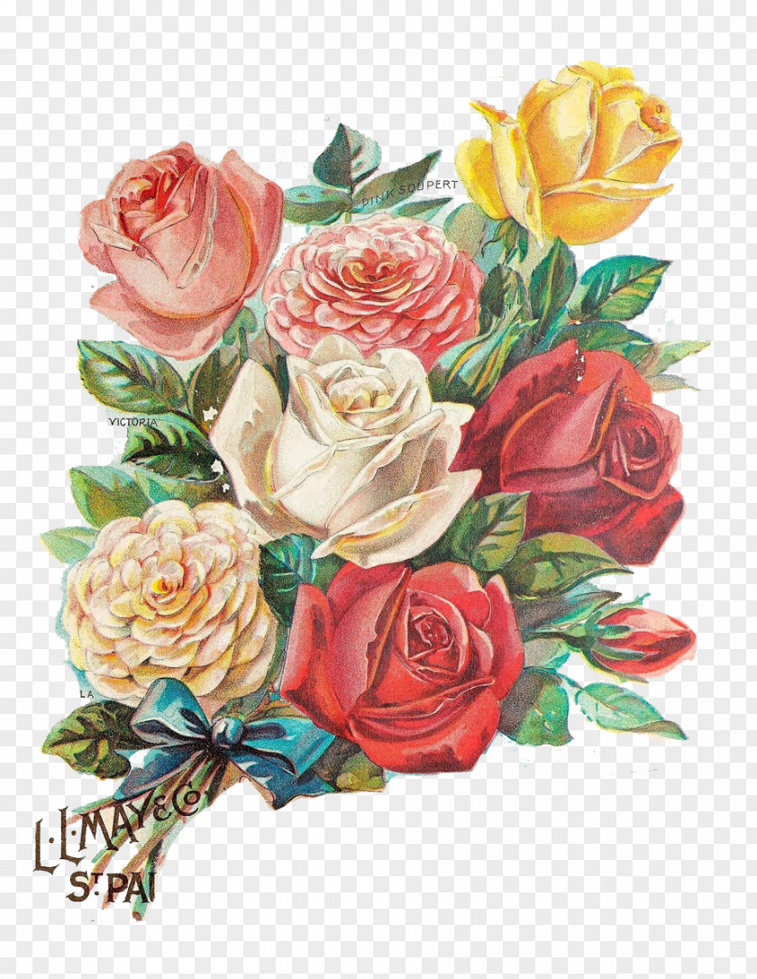Color Vintage Rose Greeting Card Flower Illustration PNG