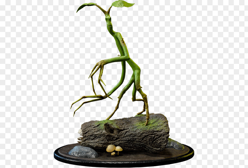 Fantastic Beasts Newt Scamander And Where To Find Them Film Series Bowtruckle Magical Creatures In Harry Potter Wizarding World PNG