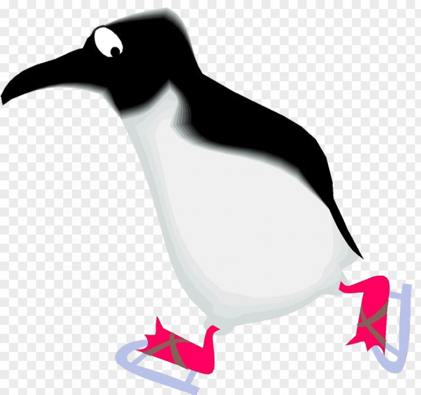 Penguin Club Razorbills Clip Art PNG