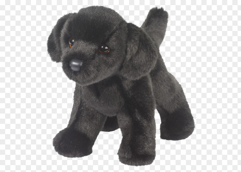 Bear Labrador Retriever American Black Golden Poodle PNG