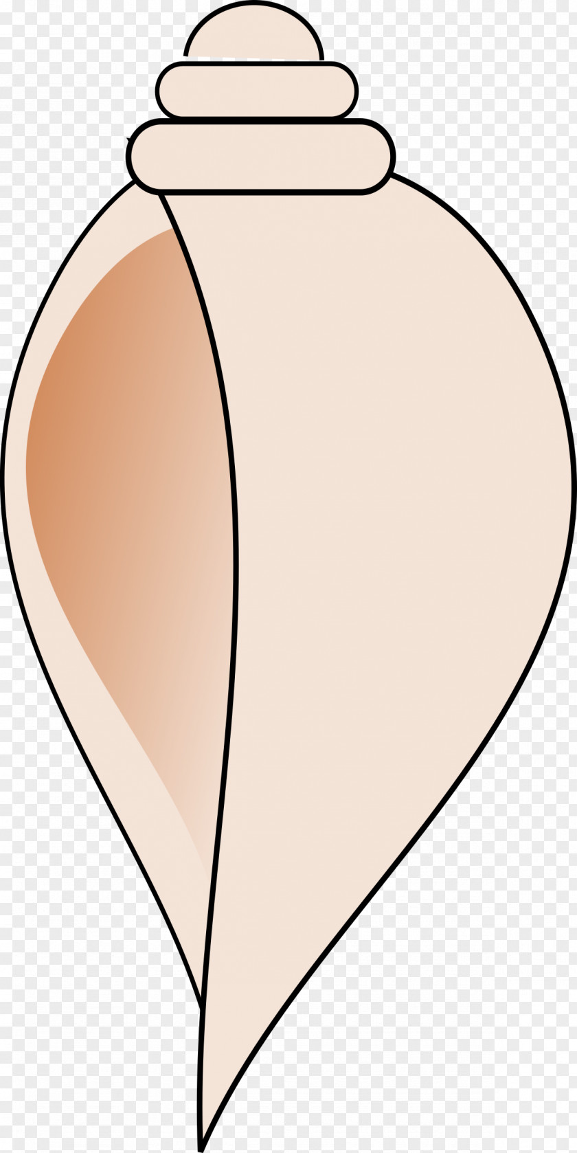 Conch Drawing Clip Art PNG