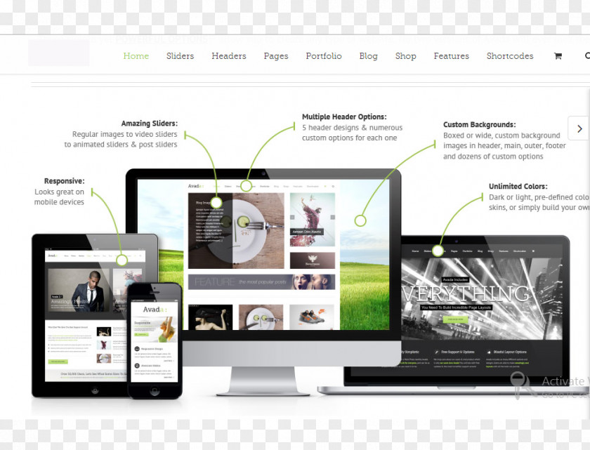 Web Design Digital Marketing Page PNG