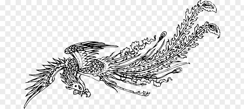 Black Phoenix Bird Fenghuang PNG
