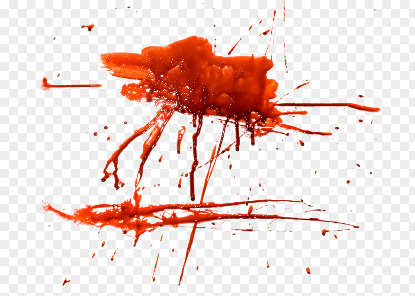 Blood Image Download Icon PNG