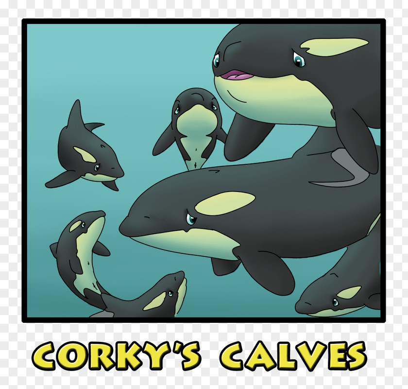 Captivity Captive Killer Whales Porpoise Dolphin Corky PNG