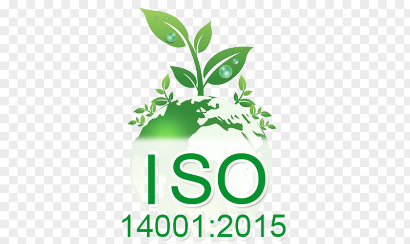 Iso 14001 ISO 9000 Environmental Management System International Organization For Standardization 14000 PNG
