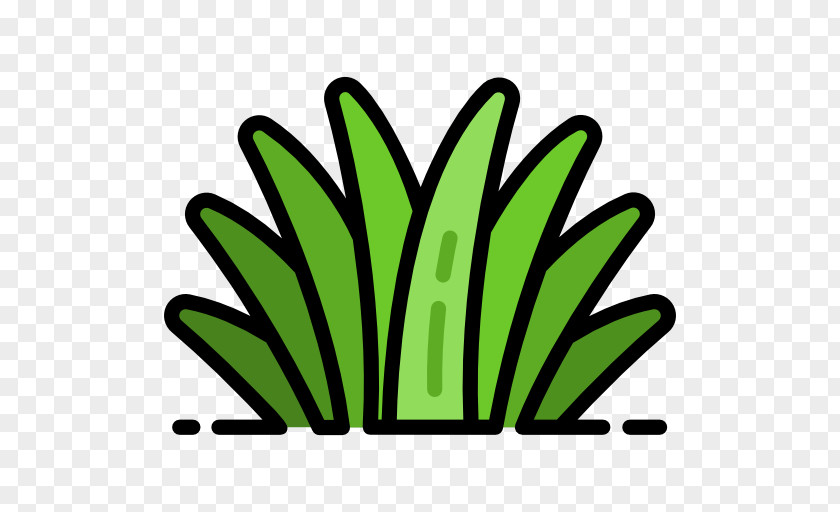 Leaf Nutrient Food Clip Art PNG