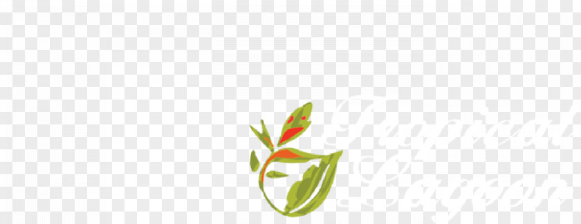 Leaf Petal Desktop Wallpaper Plant Stem Bud PNG