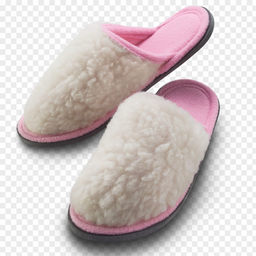 Slipper Footwear Mogilev Shoe Service PNG