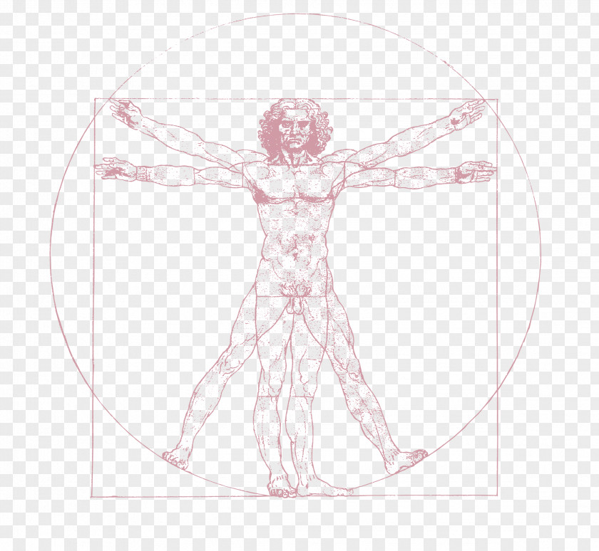 Vi Vitruvian Man Drawing Art Sketch PNG