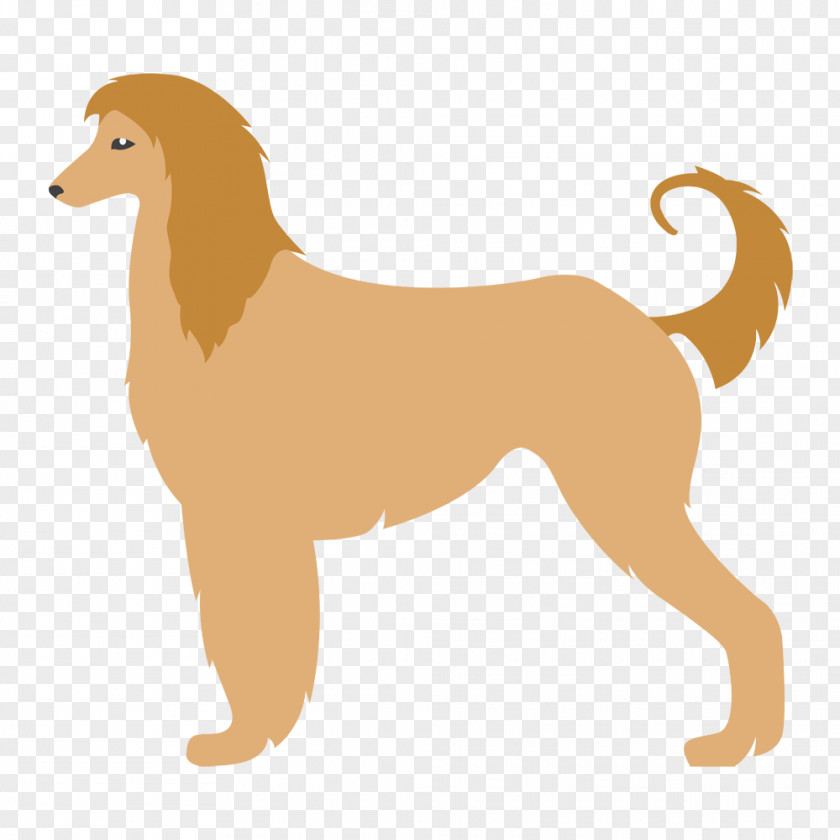 Amstaff Afghan Hound Canaan Dog Saluki Kuchi Scottish Deerhound PNG