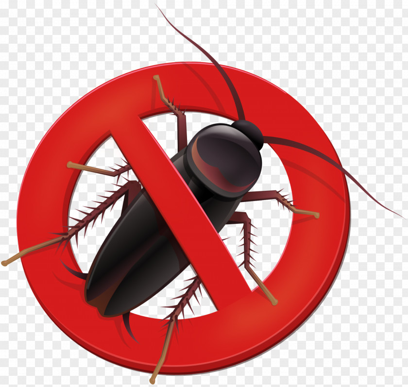 Cockroach La Cucaracha 2k13 Dj Som & The Breros Pest Control Technology System PNG