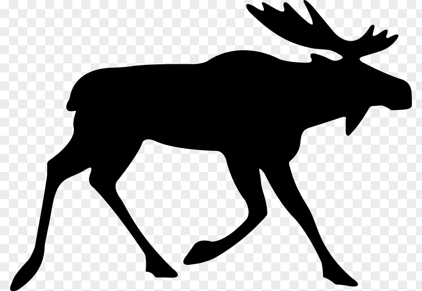 Deer Elk Moose Red PNG